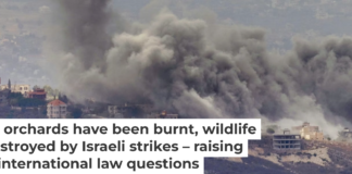 Smoke rises from Israeli airstrikes on southern Lebanese villages on Sept. 23, 2024. AP Photo / Hussein Malla